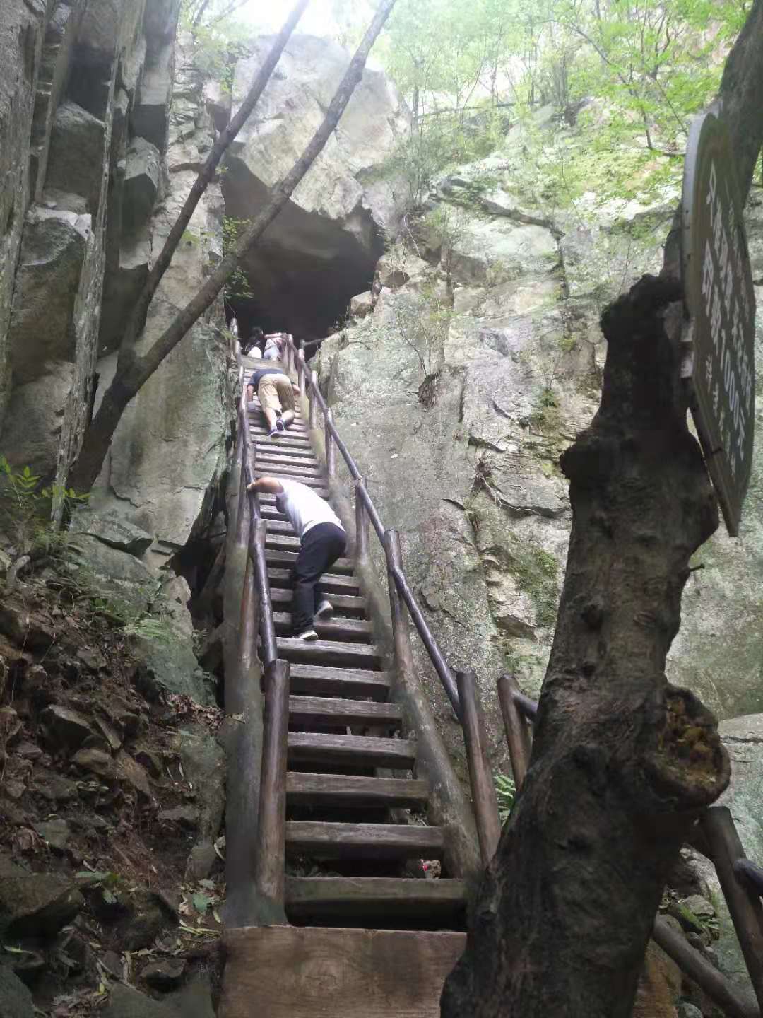 微信图片_20190903114809.jpg 微信图片_20190903114809.jpg