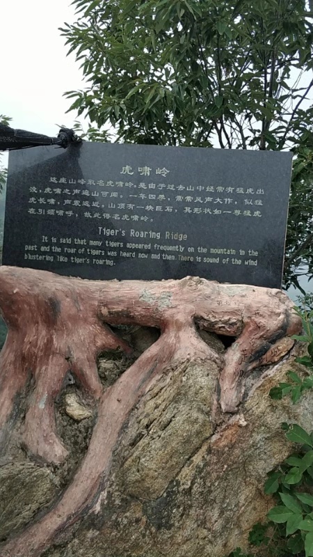 微信图片_20190903114812.jpg 微信图片_20190903114812.jpg